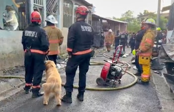 El equipo G-USAR y la Unidad Operativa Canina participaron en las labores de búsqueda entre los escombros. Crédito: Cuerpo de Bomberos Costa Rica