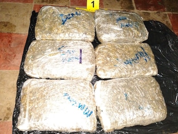 La incautación de 8.443 gramos de marihuana marca un operativo antidrogas en La Libertad (Foto cortesía FGR)