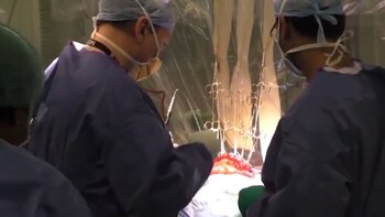 “Lo examinábamos para asegurarnos de