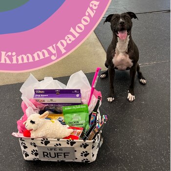 Cómo Kimmy Gibbler rompió el récord de estancia más larga en un refugio (Facebook Humane Society of West Michigan)