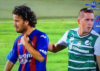 El regreso de los Potros