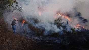 Incendio amenaza la Zona Arqueológica