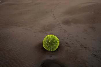 las palmas, españa, bajo las cenizas