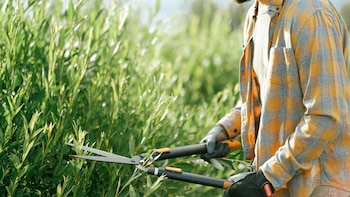 Obligan a un jubilado a