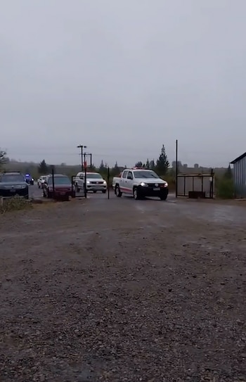 Los brigadistas festejaron que llovió