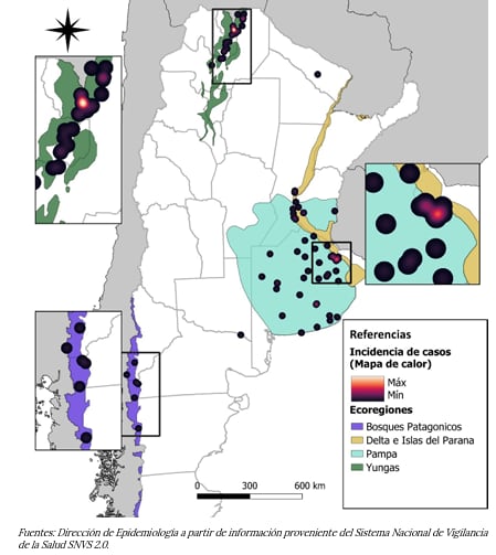 La región del NOA muestra la tasa de incidencia más elevada de hantavirus, concentrando el 83 por ciento de los casos en Salta (BEN)