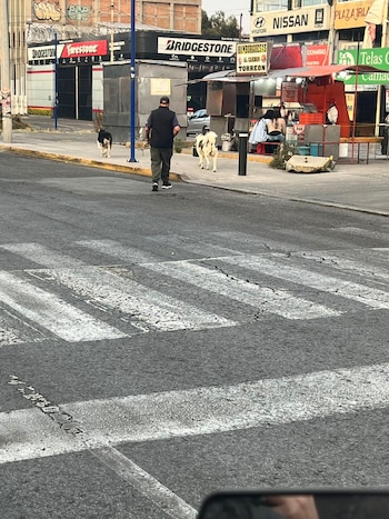 Usuarios publicaron fotos en los