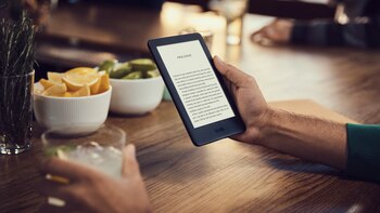 Los diccionarios invaden la lista