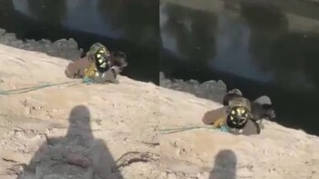 Bomberos salvaron a un perrito