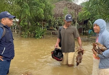 Las autoridades activan estrategias priorizando