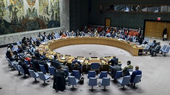 El Consejo de Seguridad de