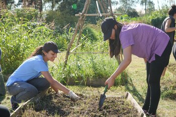 Luego de participar de la