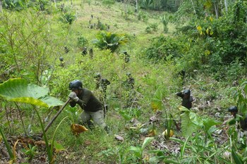 Foto: Ministerio del Interior.
