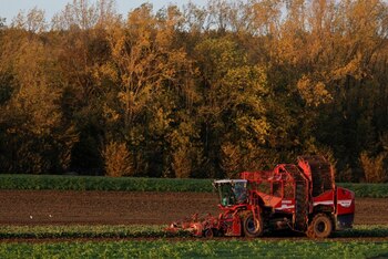 Los agricultores franceses indican que quieren competir con los otros países europeos pero “en igualdad de condiciones”. REUTERS/Pascal Rossignol