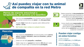 Estas son las medidas contempladas desde el Metro de Medellín frente al ingreso de mascotas - crédito suministrado a Infobae