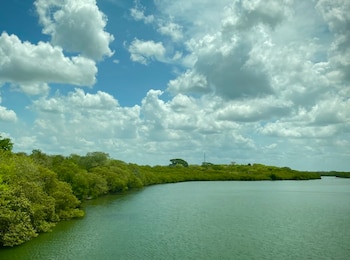 Un cuerpo de agua verde azulado se extiende junto a una orilla con densa vegetación verde, bajo un cielo azul con nubes blancas y una torre lejana
