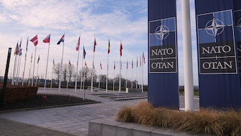 La OTAN teme que Trump debilite la alianza mientras Estados Unidos amenaza con su salida