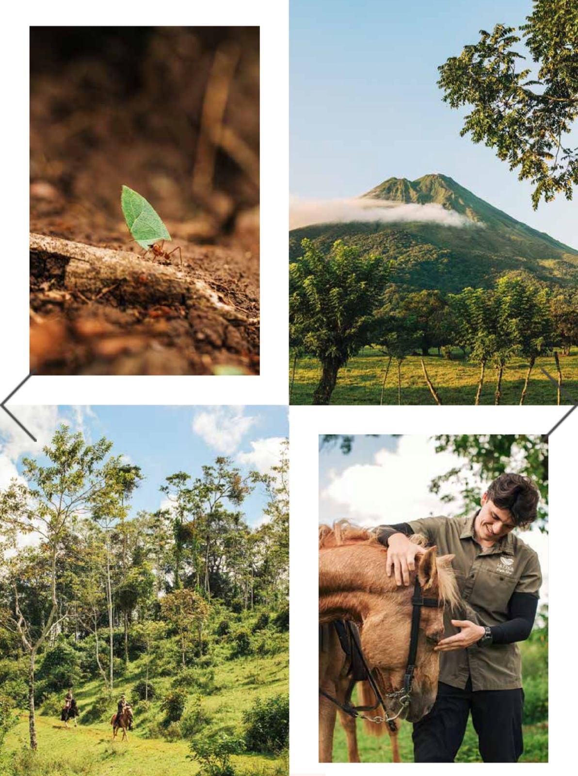La revista destacó los avances en conservación y turismo regenerativo, subrayando la protección del Parque Nacional Corcovado por ONG locales.(Cortesía: Instituto Costarricense de Turismo)