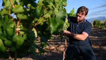 BODEGA COLOME SALTA - Thibaut Delmotte