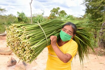 11-03-2021 Fundación Microfinanzas BBVA (FMBBVA) ayuda a cientos de miles de mujeres para que salgan adelante con pequeños negocios en América Latina
SOCIEDAD
FMBBVA