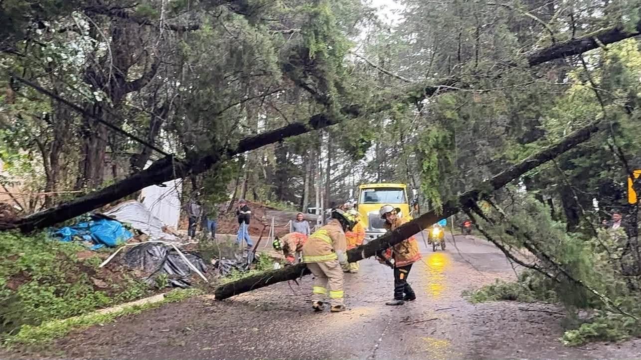 Los Bomberos Voluntarios despejaron la carretera RD-QUI-2 en Chinique, Quiché tras la caída de árboles. (Conred)
