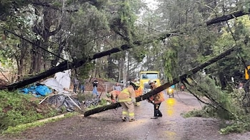 Las lluvias provocaron el colapso del muro perimetral de la Escuela Oficial Rural Mixta en Chiquimula, así como inundaciones, caída de árboles y derrumbes en otros sectores de Guatemala.