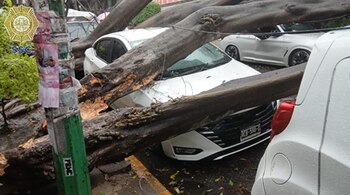 Elementos de seguridad, emergencia y