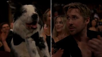 Messi, el perro de Anatomía