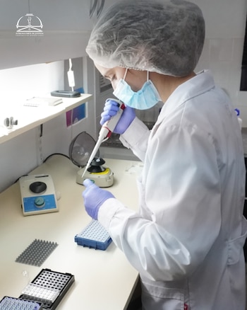 Persona con cofia, mascarilla y guantes manipula pipeta en mesa de laboratorio junto a equipos y bandejas de muestras