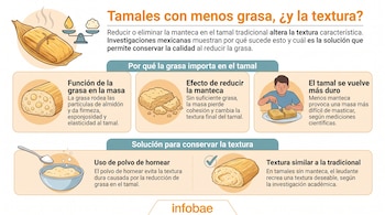 Infografía con dibujos de tamales, grasa, masa, persona, polvo de hornear y texto explicativo sobre la textura. Incluye logo Infobae.