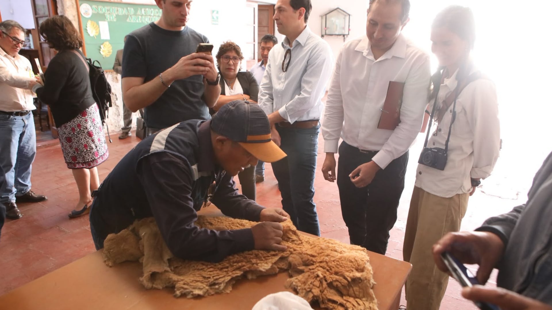 Arequipa vende fibra de vicuña por más de S/ 2.3 millones y abre una nueva vía para las asociaciones de Castilla