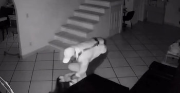 Parte de las imágenes observables en el video compartido por Paula, donde se ven las agresiones de su exesposo. (Capturas de pantalla)