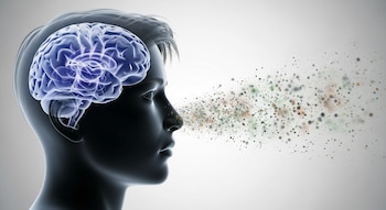 La exposición histórica al plomo