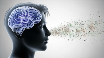 El impacto oculto del plomo