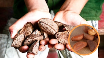 Cada nuez tiene forma de