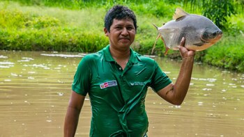 Producción acuícola: el nuevo motor
