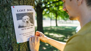 Hombre pega un afiche en