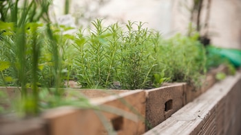 Materiales como caños de plástico,