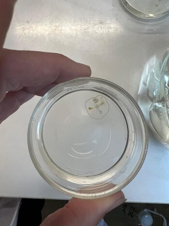 El equipo científico realizó la