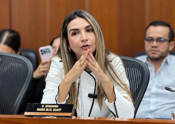 El proyecto fue articulado por la senadora Nadia Blel Scaff junto con los congresistas Liliana Benavides Solarte, Luis Eduardo Díaz Mateus y otros parlamentarios - crédito @nadiablel/X