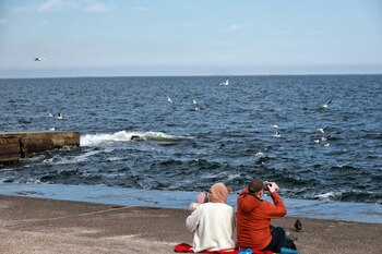 Imagen ZBXFSRO3FBHNDFO5IKGK3TEXSE