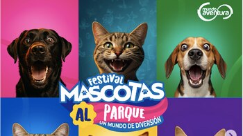 El festival “Mascotas al Parque”