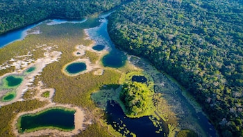 Guatemala inicia su preparación para la Conferencia de las Partes sobre la biodiversidad 2026 (COP17)