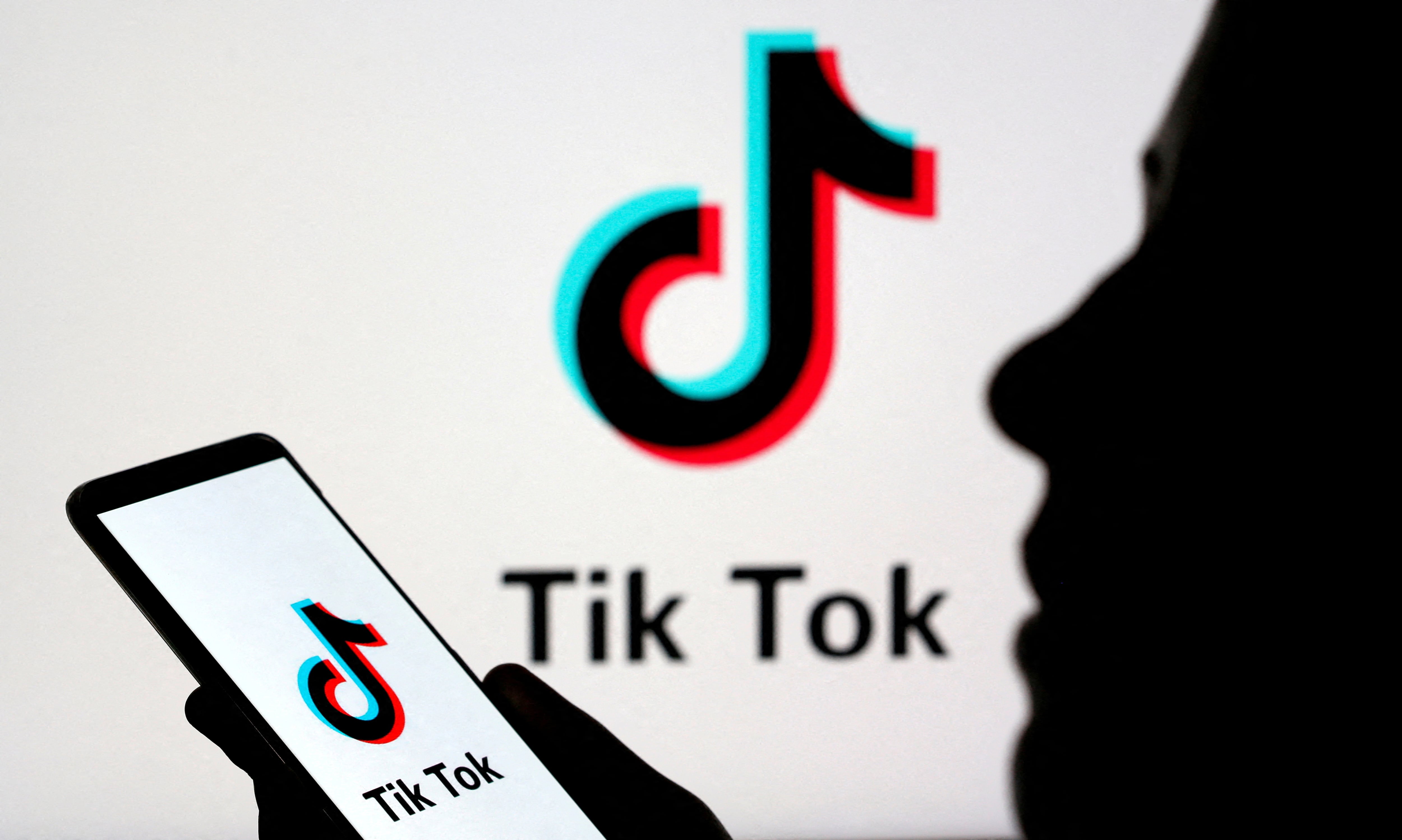 TikTok amplificó la historia del árbol más allá de fronteras locales. (REUTERS/Dado Ruvic/Illustration/File Photo/File Photo)