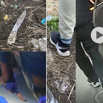 SORPRESIVO PARO de COLECTIVOS en el AMBA: a qué líneas afecta y hasta cuándo