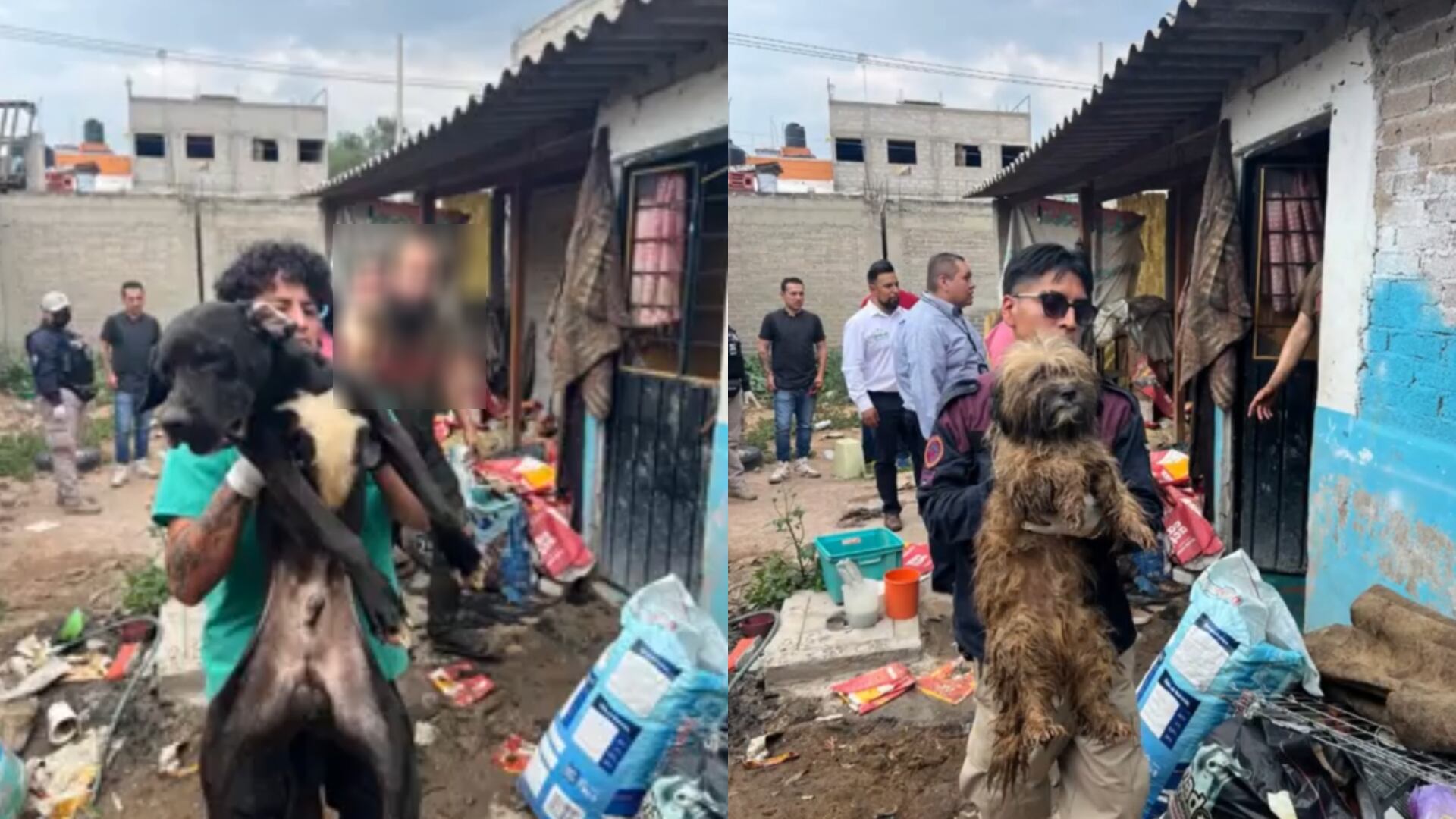 El hombre fue encontrado al interior del domicilio mientras tenía cautivos a todos los animales. (Jorge Becerril)
