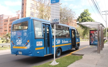 Según la norma ningún vehículo