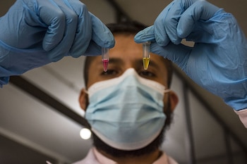 En Colombia, investigadores y estudiantes