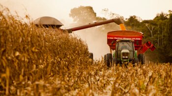 Se espera que las exportaciones