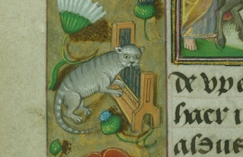 Los gatos medievales simbolizaban misterio